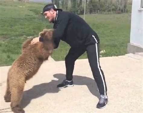 Watch Mma Fighter Khabib Nurmagomedov Wrestle A Bear For The Win