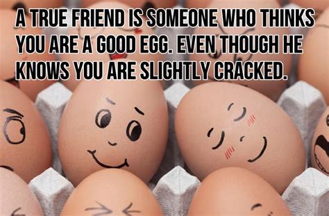 25 Great and Strong Friendship Quotes (Images & Pictures) | Funlava.com