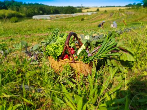 Contact  Jardins de Cocagne