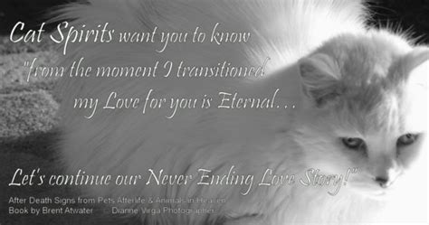Here, we share some short poems about the death of a cat that would be appropriate for a pet funeral. Cat loss quote Greiving over cat loss Inspirational Cat ...