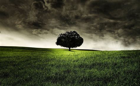 Nature Dark 4k Wallpapers - Wallpaper Cave