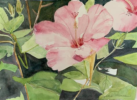 Hibiscus Original Watercolor Cas Watercolors