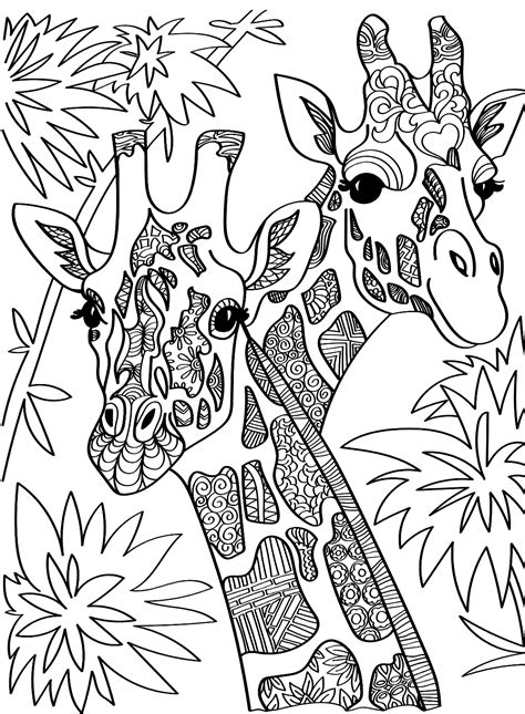 Giraffes Color Page For Adults Free Printable Coloring Pages