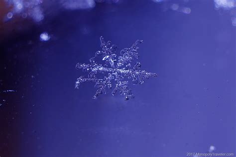 The Beauty Of Snowflakes Gaining Life Experience