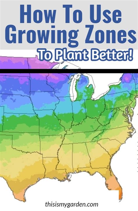 Understanding Your Growing Zone How To Plant Smarter And Better