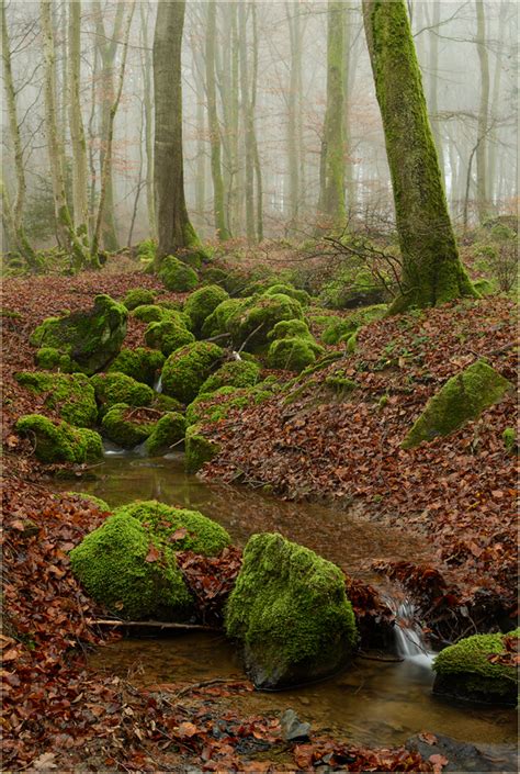 Bitte denkt daran, dass bei eurer einreise nicht nur die österreichischen bestimmungen ausschlaggebend sind, sondern auch die regelungen in. In der Steinig (Forum für Naturfotografen)