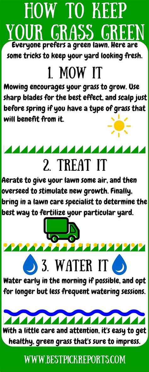 How To Keep Your Grass Green Infographic Best Pick Reports