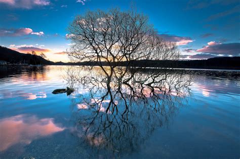 Tree Reflection In Lake Wallpaper Hd Nature 4k Wallpa