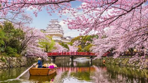 10 Curiosidades Sobre Japón Que Son Interesantes