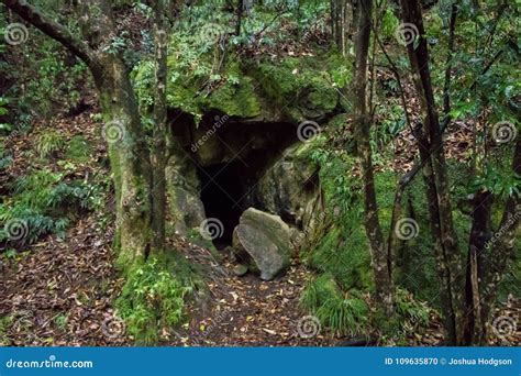 Old Moss Covered Mining Cave In Thames New Zealand Stock Photo Image