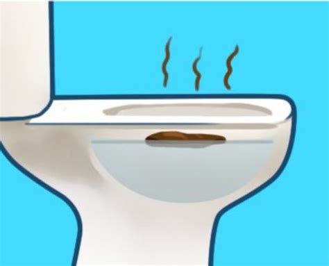 Many actions such as childbirth and having a bowel movement. What your poop says about your health