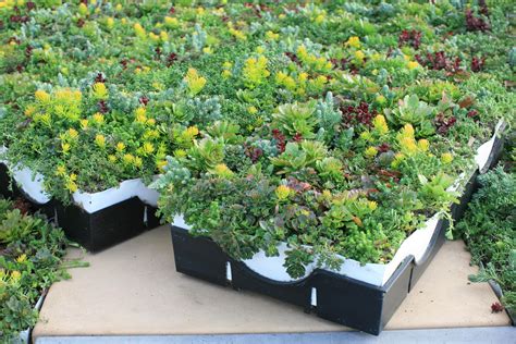 Liveroof Hybrid Green Roof System Selected For Five New Green Roof