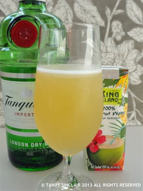 Tanqueray Gin Recipes Familie Hj Rne