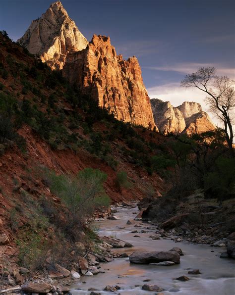 Virgin River In Zion National Park Photograph By Tom Till National