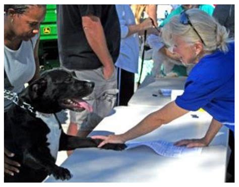 Spanish trail pet clinic tucson, az 85710. Jacksonville Community Pet Clinic 335 11th Ave N ...
