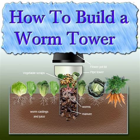 Ever heard of worm composting? How To Build a Worm Tower | Garden compost, Food garden ...