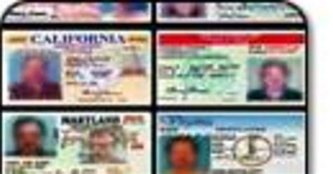 Fake Drivers Licenses Easy To Obtain