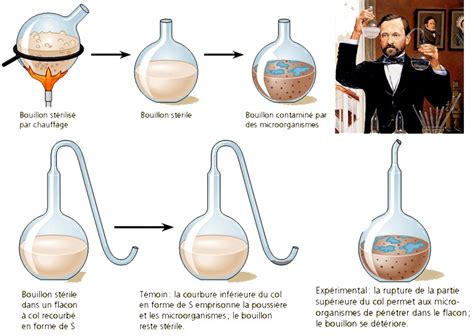 Teoria De Pasteur