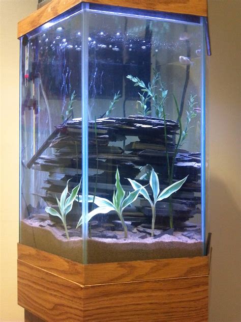Hexagonal Tank With Rock Stacking Aquarium Design Hexagon Fish Tank