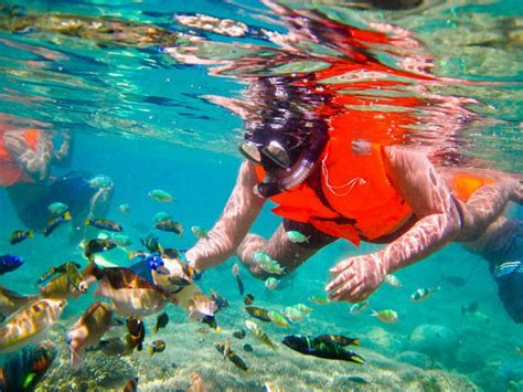 3 Gili Islands Lombok Snorkeling Tour With Private Boat Wandernesia
