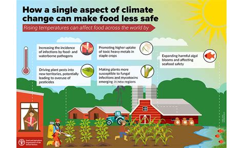 Global food prices have risen by 40% since january 2020. How Is Climate Change Affecting the Safety of Our Food ...