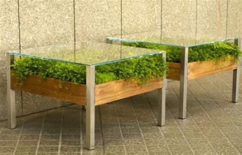 The plant has to mature for about five years before the fruit it bears is of any commercial value. Living Furniture Brings New Meaning to Farm-to-Table | 7x7 ...