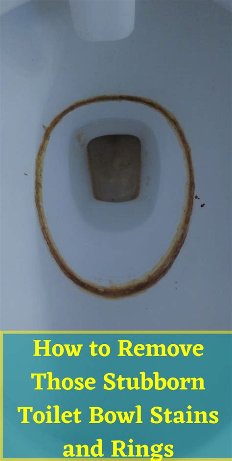 How To Get Rid Of A Toilet Ring Without Scratching The Bowl Artofit