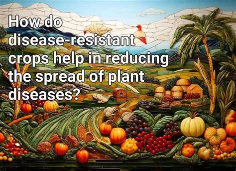 how do disease resistant crops help in reducing the spread of plant diseases agriculture gov