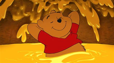Winnie Pooh Vorh Nge Winnie The Pooh Day Quotes And Surprising