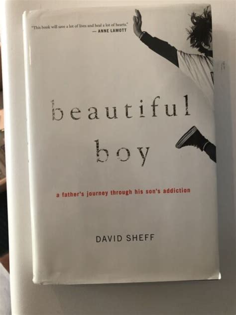 Beautiful Boy A Fathers Journey Through His Sons Addiction By David