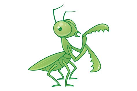 Praying Mantis Cartoon Character By Fizzgig Thehungryjpeg