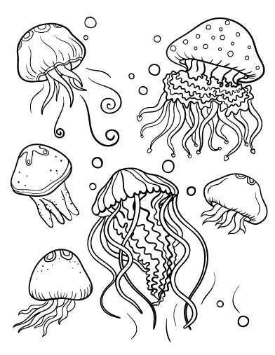 Sea life animals group coloring page. #coloring #jellyfish #pages #printable 2020 Check more at ...
