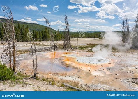 Norris Geyser Basin Is The Hottest Oldest And Most Dynamic Of