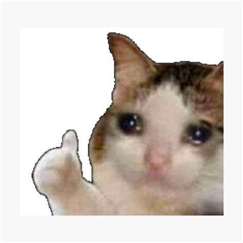 42 Crying Cat Thumbs Up Meme Template