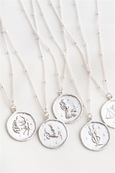 Zodiac Coin Necklace Silver Dragonfly Necklace Sterling Silver Chain