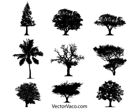 Tree Silhouette Vector Free Download Tree Silhouette Silhouette