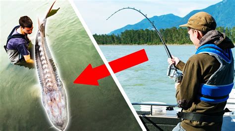 Top 10 Best Fishing Catches Youtube