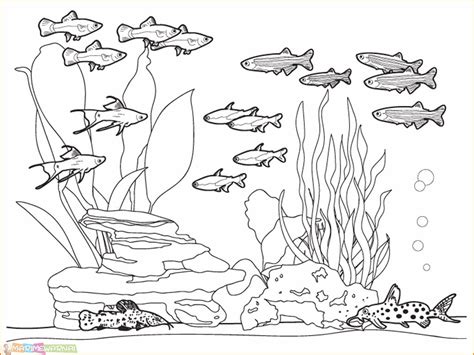 Gambar Mewarnai Ekosistem Pulp