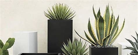 Tiestos Modernos Con Diseños Innovadores Cactus Planta Disenos De