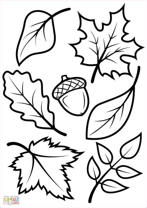Autumn Tree Colouring Pages