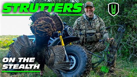 STRUTTERS IN STEALTH MODE BOWHUNTING GOBBLERS YouTube