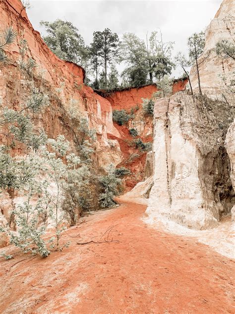 All dogs entering a state park may be required to provide proof of appropriate immunizations and valid licenses. Providence Canyon State Park in Georgia... looks like it ...