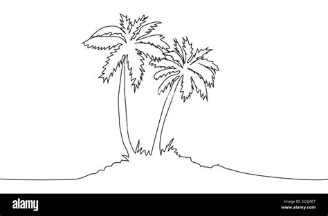 How To Draw A Palm Tree With Coconuts