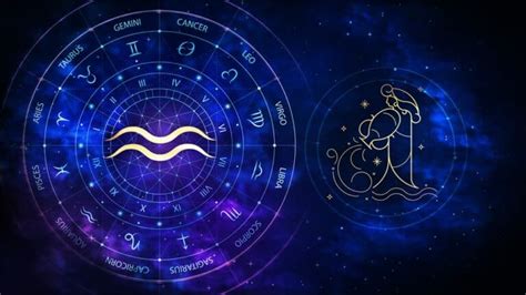 What Is Aquarius Spirit Animal Leadbystars