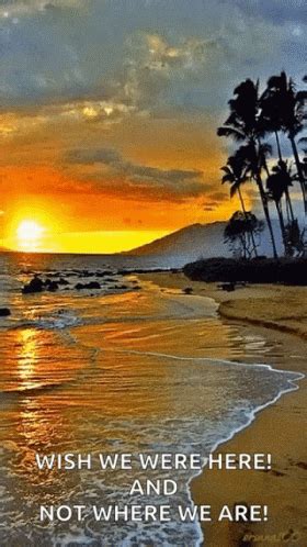 Beach Ocean Gif Beach Ocean Sunset Discover Share Gifs