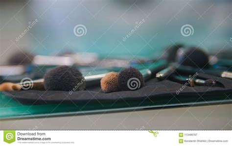 Professional Make Up Brushes In The Cosmetic Bag Stock Image Image Of