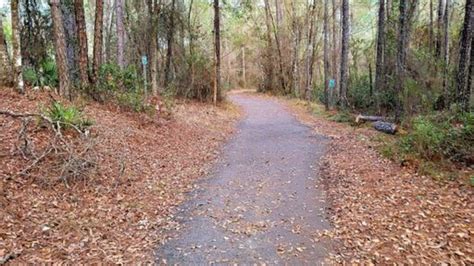 22 best paved bike trails in florida reviews tips maps