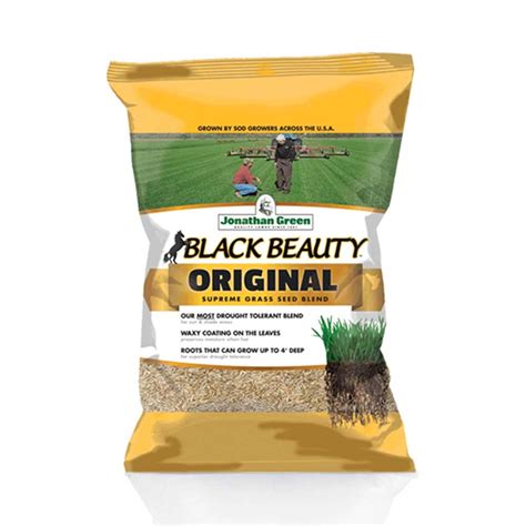 Black Beauty Original Grass Seed Jonathan Green