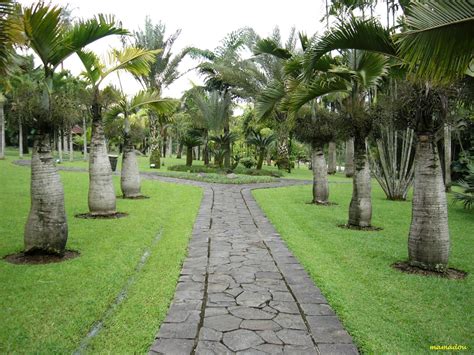 Blog Is My World Taman Bunga Nusantara