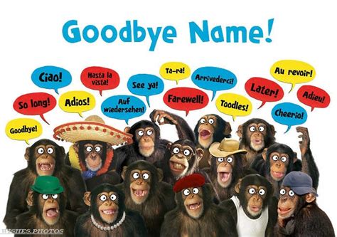 Funny farewell cards for coworkers aplicativo pro. Farewell Wishes, Messages and Best Farewell Quotes